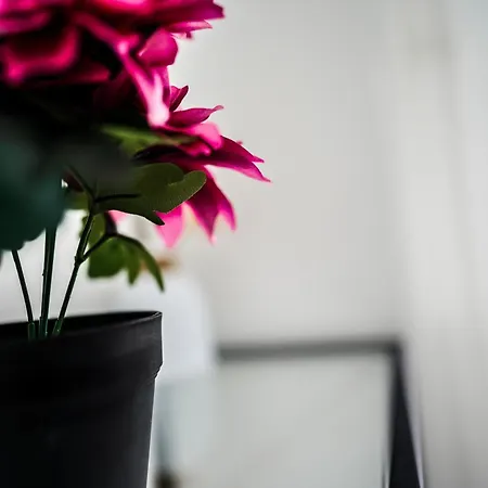 Apartment Modernes In - 5 Min Zur Sap, Balkon&netflix - Wehome Premium Walldorf (Baden-Wurttemberg)